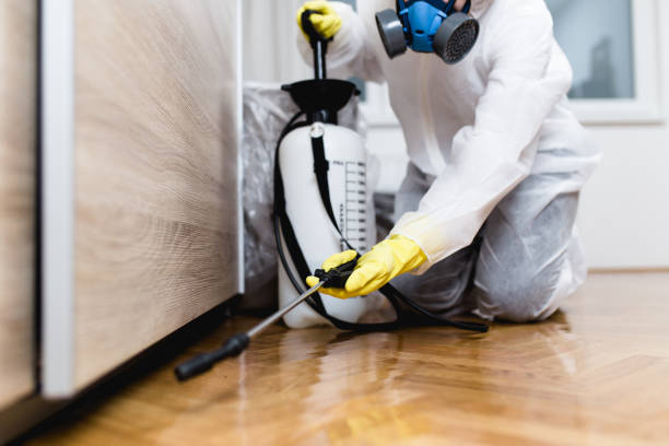 Best Termite Control Services  in Bessemer, MI