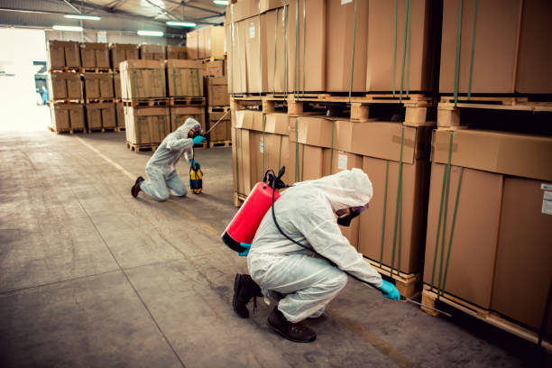 Best Local Pest Control Services  in Bessemer, MI
