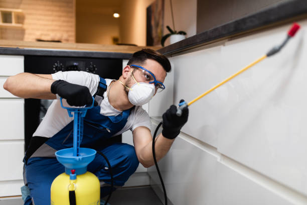Best Best Pest Control Companies  in Bessemer, MI
