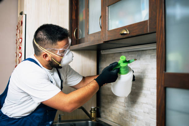 Best Cockroach Control Services  in Bessemer, MI