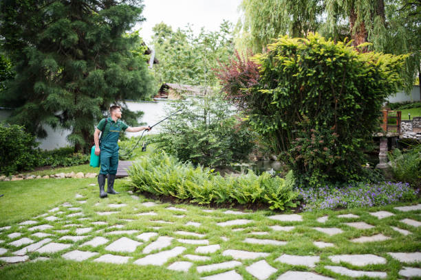 Reliable Bessemer, MI Pest Control Solutions