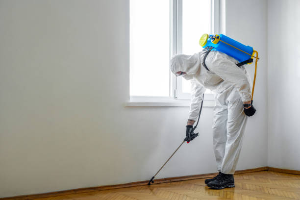 Best Flea Control Services  in Bessemer, MI
