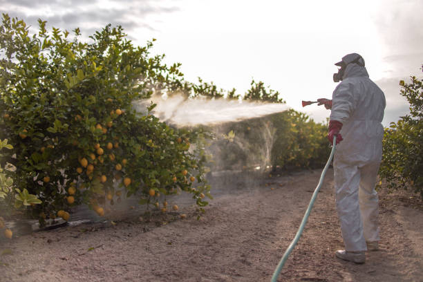 Best Pest Control Near Me  in Bessemer, MI