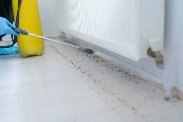 Best Bed Bug Extermination  in Bessemer, MI