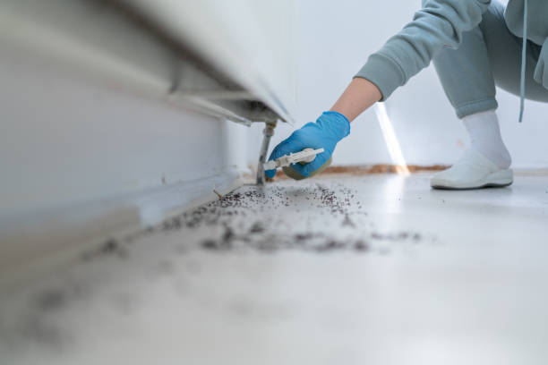 Best Pest Removal Services  in Bessemer, MI